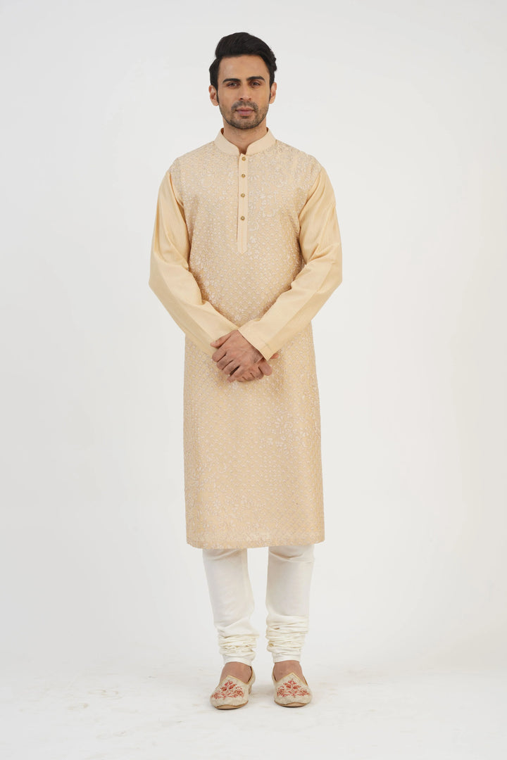 Beige Aari Embroidered Kurta Set