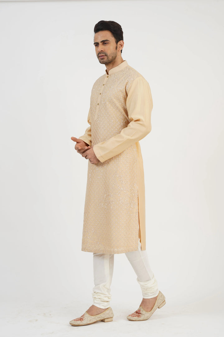 Beige Aari Embroidered Kurta Set