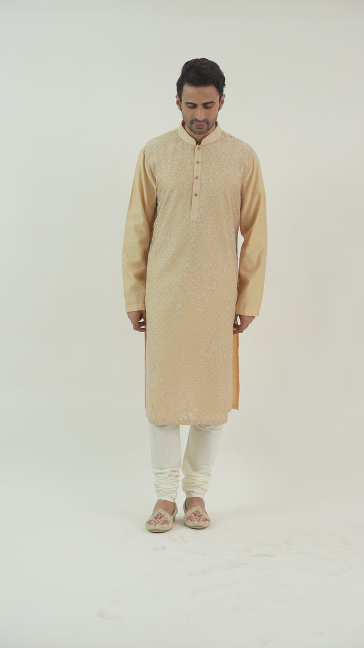 Beige Aari Embroidered Kurta Set